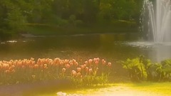 音乐短片 - 快乐天堂