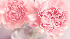 音乐短片 - 妈妈