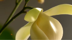 音乐短片 - 看透爱情看透你