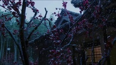 音乐短片 - 竹语笛音<凉凉>