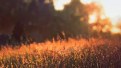 音乐短片 - 只给你看