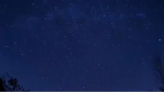 音乐短片 - 寂寞如风