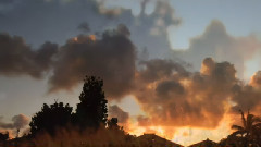 音乐短片 - 爱的协奏曲