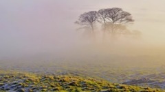 音乐短片 - 瑞士乔瓦尼乐队作品【我心依旧】