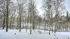 音乐短片 - Mhm Mhm