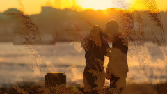 音乐短片 - 夜莺之歌