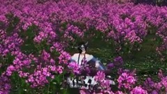 模仿翻唱 - 山有木兮