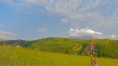 风景,音乐短片,轻音乐,乐动城市 - 淡淡的舒畅 聆听大自然之声