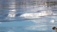 音乐短片 - 试机片