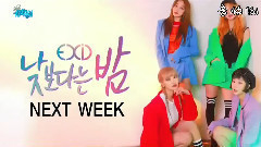 EXID - 下周回归 - MBC音乐中心现场版 17/04/08