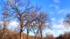 音乐短片 - 殇雪