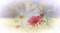 音乐短片 - Spring of Love Richard Clayderman