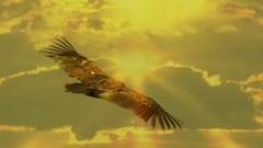 音乐短片 - Matsuri