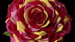 音乐短片 - 试机片集锦1/2