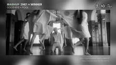 2NE1,Winner - Fool & Goodbye