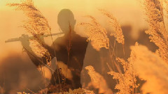 音乐短片 - 告别时刻