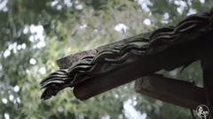 二更 - 这才是真爱,看到3分钟我哭了