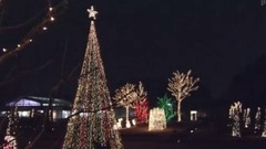 音乐短片 - 日本夜景巡游 - 彩灯•烟花