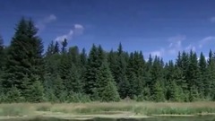 音乐短片 - Dreamscape(梦境)