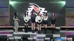 Apink - kt wiz支持者艺术节