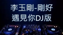 李玉刚 - 刚好遇见你 DJ版