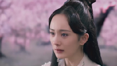杨宗纬,张碧晨 - 凉凉