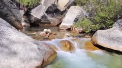 风景,音乐短片,轻音乐 - 山涧  聆听大自然之声