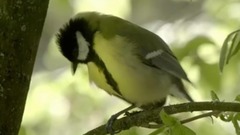 音乐短片 - 幸福的阳光