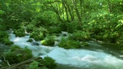 风景,轻音乐 - 青山绿水 郁郁葱葱