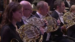 音乐短片 - 斯特拉文斯基“火鸟组曲”