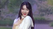  - Windy Day（live）