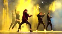 刘也,SWIN组合 - 全面通缉
