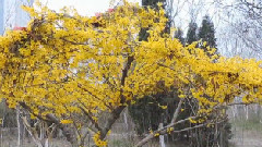 音乐短片 - 瞄着你就爱