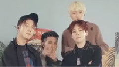Winner - REALLY REALLY DINGO LIVE