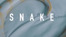 Hush - Snake