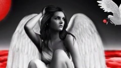 音乐短片 - Por Que Tem Que Ser Assim