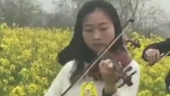 华语群星 - 井冈山上太阳红