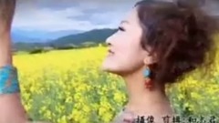 华语群星,民乐群星 - 阿妹的情歌