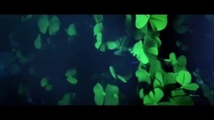 Q-Dance - Purpose Of Life