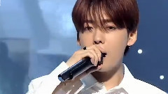 Winner - Fool