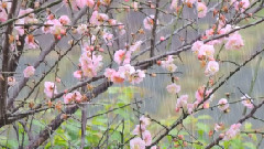 音乐短片 - 我不能没信心