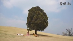 韩国群星 - Spring, Bear