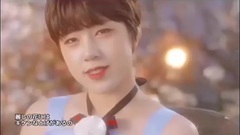 素珍(Nine Muses) - ACACTA