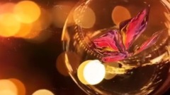 风景 - Brian Crain & Rita Chepurchenko
