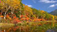 音乐短片 - 怀念战友