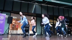 Berry Good - BibbidiBobbidiBoo