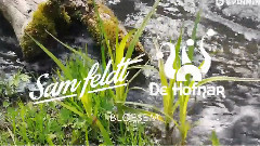 音乐短片 - Sam Feldt & De Hofnar - Bloesem (Available July 21)