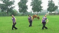 舞蹈视频 - 呼伦贝尔大草原 广场舞
