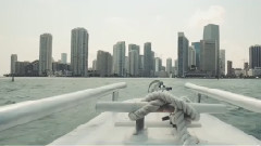 音乐短片 - Zwette ft. Molly - Rush (Sam Feldt Remix) [Official Music Video