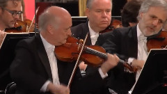 音乐短片 - 维也纳美泉宫夏季音乐会